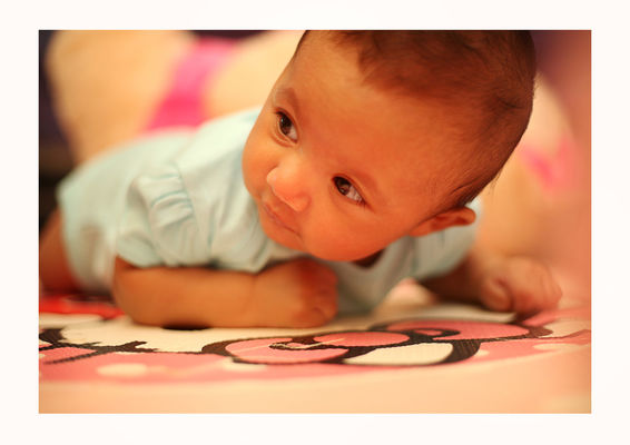 Lilliput Photography Gallery Photo
