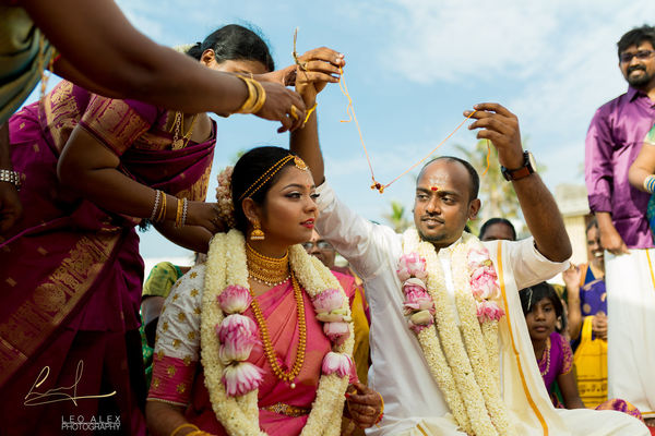 Leoalex Photography Gallery Photo