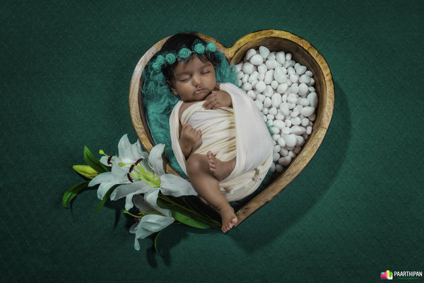 Paarthipan Photography Gallery Photo