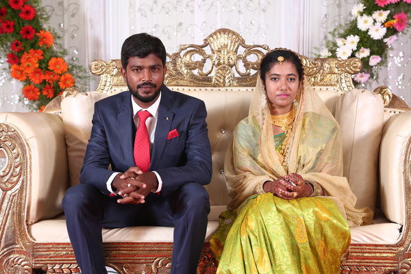 BimBam Gallery Photo