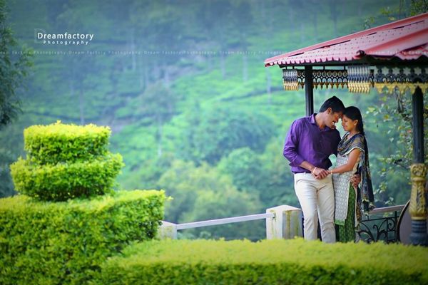 Dream Factory Photo Gallery Photo