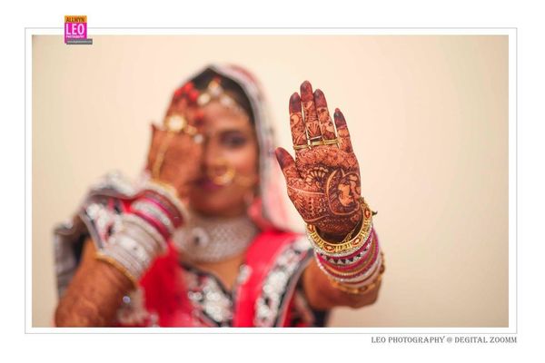 Leo Photography Gallery Photo