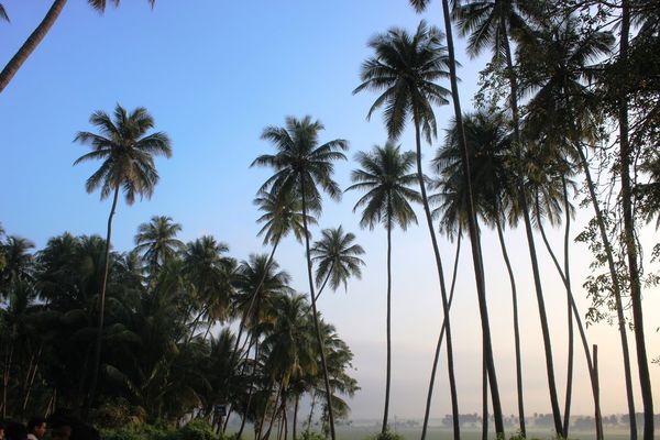 Thulasi Krishna Photography Gallery Photo
