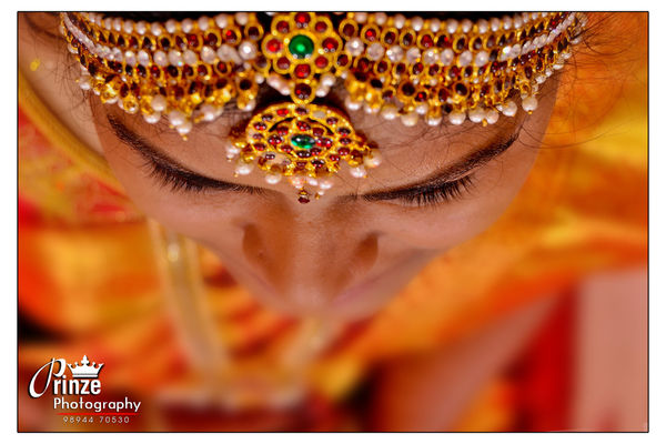 Prinz  Photography Gallery Photo
