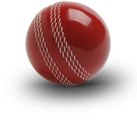 IPL T20 Live Score